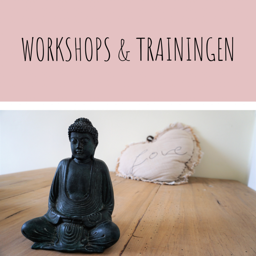 Workshops & Trainingen
