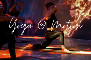 Yoga bij Motion @ Motion Experience