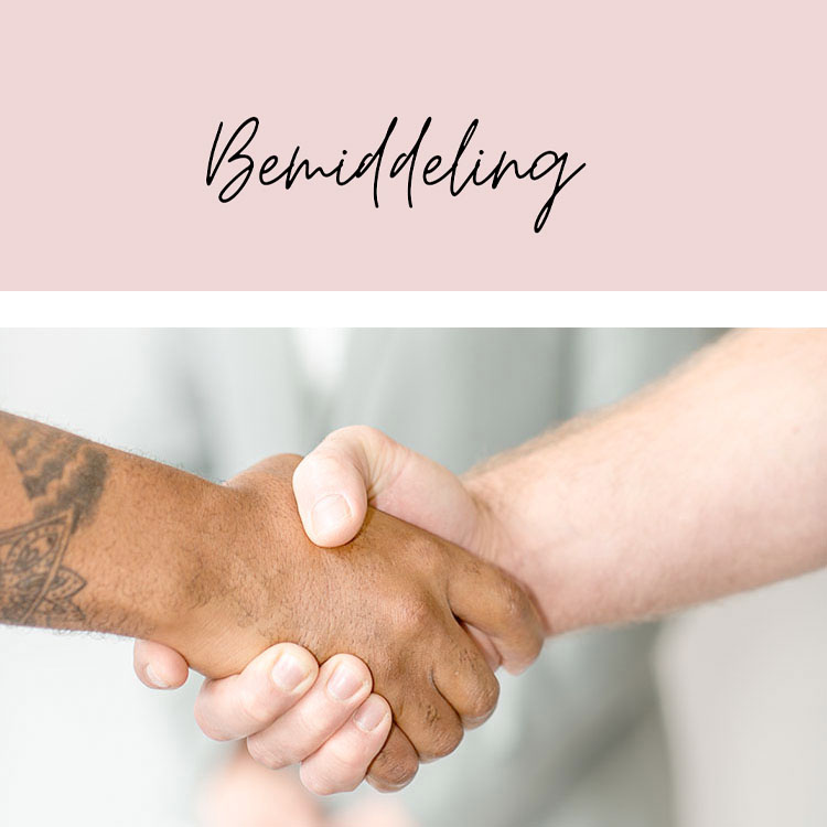 Bemiddeling coaching Joke Pluijm