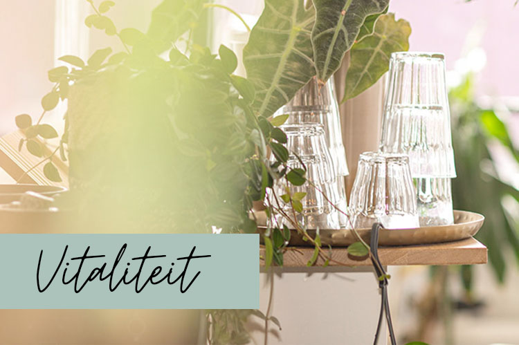 Vitaliteit Joke Pluijm